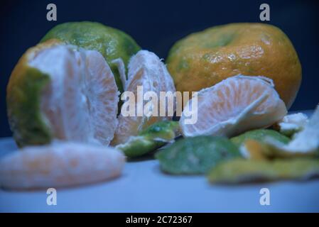 Fruits bergamotes (Citrus reticulata). Un agrumes de petite taille et similaire à une poire, ainsi que l'huile essentielle extraite de la pelure de son f Banque D'Images