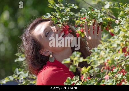 brunette aux cheveux longs, yeux bleus, dans une robe rouge mange des baies rouges, des raisins de corinthe. Photo de haute qualité Banque D'Images