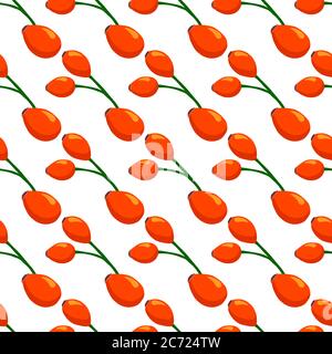 Illustration sur thème grande couleur sans couture rose hanche, motif baies brillantes pour le phoque. Motif baies composé de belles roses sans coutures. Si Illustration de Vecteur