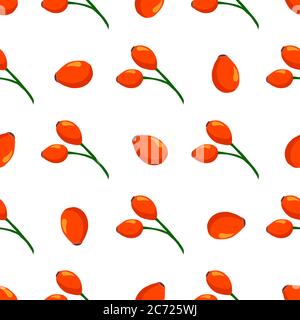 Illustration sur thème grande couleur sans couture rose hanche, motif baies brillantes pour le phoque. Motif baies composé de belles roses sans coutures. Si Illustration de Vecteur