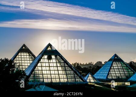 Muttart Pyramids Conservatory, Sunrise, Edmonton (Alberta), Canada Banque D'Images