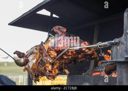Un porc grillé traditionnel bois et feu. Griller un porc sur un gril rotatif le petit porc est rôti entier sur un feu ouvert. Cochon sur la broche. Banque D'Images