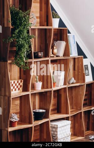 Bibliothèque en bois et cactus sur étagère. Meubles vides Banque D'Images