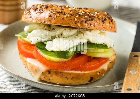 Sandwich Bagel blanc d'oeuf maison avec tomates et concombres Banque D'Images