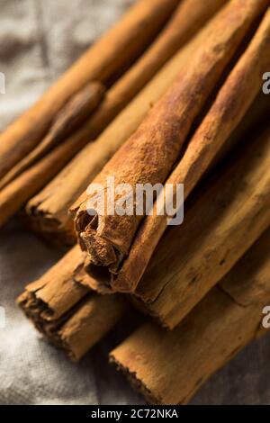 Bâtonnets de cannelle en ceylon biologique sec dans un bouquet Banque D'Images