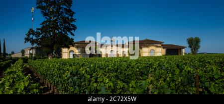 Vue panoramique horizontale de la cave Château Petrus au milieu des vignes verdoyantes en été, avec des arbres Banque D'Images