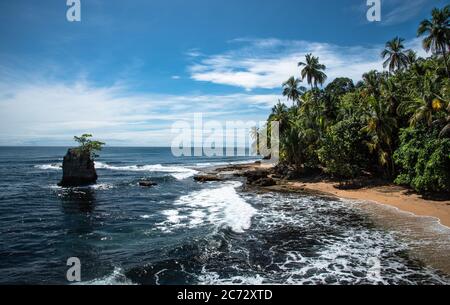 Plage sauvage des caraïbes, jungle brute plage de la forêt tropicale, Manzanillo Puerto Viejo Costa Rica, Amérique latine Centrale bleu ciel mer mer mer océan, manquer mai point Banque D'Images