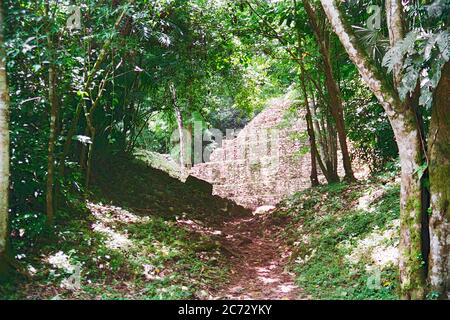 En suivant un chemin étroit à travers les arbres, une pyramide peut être vue dans la distance. Ruines mayas de Yaxchilan. Chiapas, Mexique. Image de film vintage - environ 1990 Banque D'Images