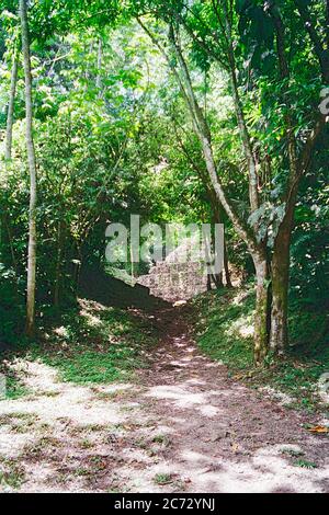 En suivant un chemin étroit à travers les arbres, une pyramide peut être vue dans la distance. Ruines mayas de Yaxchilan. Chiapas, Mexique. Image de film vintage - environ 1990 Banque D'Images
