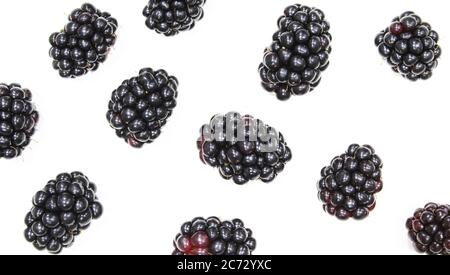 Toile de fond BlackBerry. Plusieurs fruits isolés sur fond blanc Banque D'Images