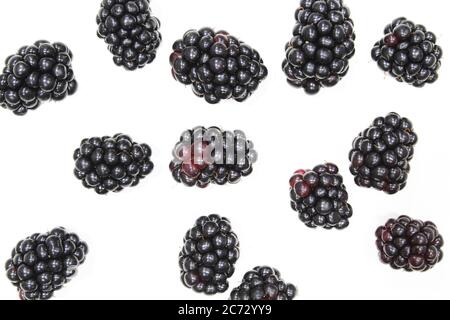 Toile de fond BlackBerry. Plusieurs fruits isolés sur fond blanc Banque D'Images