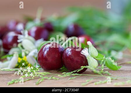 Paire de baies de cerise sucrées juteuses, fleurs de champ sur fond de bois, concept saisonnier d'été, vie de pays, régime sain, récolte Banque D'Images