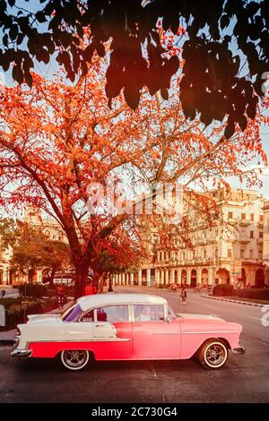 LA HAVANE, CUBA - FÉVRIER 23,2019 : scène urbaine avec voiture classique rose au coucher du soleil à la Havane Banque D'Images