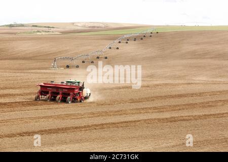 Un agriculteur et un tracteur dans le champ plantant des pommes de terre dans les champs fertiles de l'Idaho. Banque D'Images