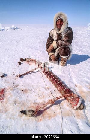 L'aîné inuit est assis à côté de la glissière de traîneau fait la voie traditionnelle hors de l'os et de la peau. Il est habillé en peau de caribou faite à la main. Banque D'Images