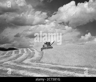 ANNÉES 1950 DEUX HOMMES SUR LA MOISSONNEUSE-BATTEUSE SUR FLANC DE COTEAU CHAMP DE LIBERTÉ D'ORGE WYOMING SOUS CIEL PLEIN DE NUAGES PUFFY - F10231 HEL001 HARS B&W WYOMING AMÉRIQUE DU NORD LIBERTÉ NUAGES NORD-AMÉRICAINS MACHINES AGRICULTEURS MACHINES À ANGLE BAS AVANCEMENT EMPLOIS BOUFFIEUX MOISSONNEUSE-BATTEUSE AGRICOLE COOPÉRATION TRACTEUR SPECTACULAIRE CIEL À FLANC DE COTEAU NOIR ET BLANC ORIGINE ETHNIQUE CAUCASIENNE DÉMODÉE Banque D'Images