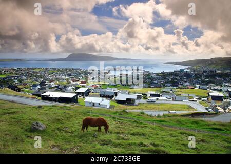 Chevaux sur le gazon en pente avec la vue de Torshavn et port en arrière-plan.Torshavn.Streymoy. Îles Féroé.territoire du Danemark Banque D'Images