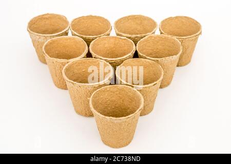 Un studio de photographie de pots de plantes de fibres biodégradables Banque D'Images