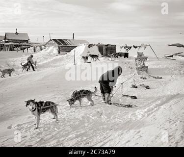 DES HOMMES INDIENS DES ANNÉES 1950 QUI DÉTESTENT MALAMUTE CANIS LUPUS FAMILIARIS ÉQUIPES DE CHIENS POUR TRAÎNEAUX KOTZEBUE AU NORD DE NOME ALASKA - R3906 HAR001 HARS B&W AMÉRIQUE DU NORD HIVER AMÉRIQUE DU NORD MAMMIFÈRES ALASKA L'AVENTURE GRAND ANGLE CANINES VERS LE HAUT MAISONS CONNEXION DE COOQUE LES INUITS NICHENT KOTZEBUE LA LIGNE DE VÊTEMENTS AMÉRINDIENS MALAMUTE SUB-ARCTIQUE CANINE HIVERNANTE CANIS LUPUS FAMILIARIS COOPÉRATION MAMMIFÈRE INDIGÈNES AMÉRICAINS NOME RÉSIDENCES CHIENS TRAÎNEAUX ÉQUIPES TOGETHERSETÉ ALASKAN NOIR ET BLANC HAR001 INDIGÈNES MILES À L'ANCIENNE Banque D'Images
