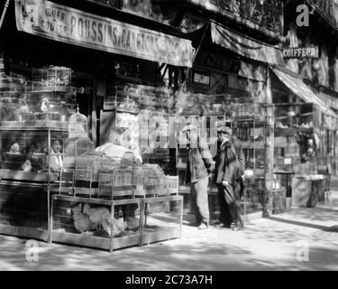 1920 QUATRE HOMMES ANONYMES DANS LA BOUTIQUE D'ANIMAUX SUR SHADY STREET WING PUBLICITÉ MONTRANT DES CAGES D'OISEAUX POUSSINS ET CANETTAGES PARIS FRANCE - R4335 HAR001 HARS SUNNY EUROPE B&W SHOPPER SHOPPERS SHOPPERS SHADY EUROPEAN PROPRIÉTAIRE ET EXTÉRIEUR DANS LES MAGASINS INSPECTANT LES CAGES D'AUVENT ANONYME GARDIEN DE COMMERCE NOIR ET BLANC EXPLORATION DES ENTREPRISES CHICKS AFFICHAGE HAR001 OLD FASHIONED Banque D'Images