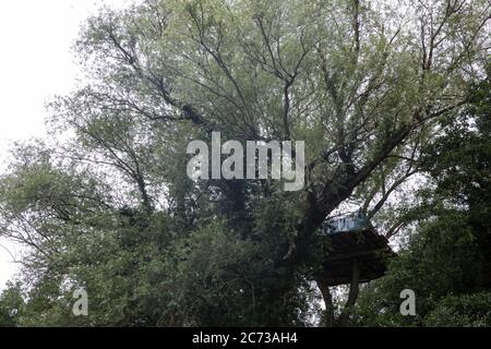 Denham, Royaume-Uni. 13 juillet 2020. Une maison arborescente au camp de protection de Denham, créée par des activistes environnementaux de la rébellion HS2 afin d'essayer d'empêcher la destruction des forêts pour la liaison ferroviaire à grande vitesse HS2 de 106 milliards de livres sterling, qui restera un contributeur net aux émissions de CO2 pendant sa durée de vie prévue de 120 ans. Crédit : Mark Kerrison/Alamy Live News Banque D'Images