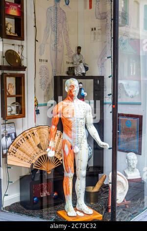 San Francisco California,Chinatown,Waverly place,vitrine,vitrine,afficher vente médecine chinoise traditionnelle,alternative,acupuncture points,anatomique Banque D'Images