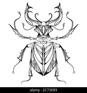 Scarabée de cerf vintage dessiné à la main. Insecte avec motif de caniche. Elément vectoriel pour le dessin de tatouage, l'impression sur des T-shirts, des cartes postales et votre dessin Illustration de Vecteur