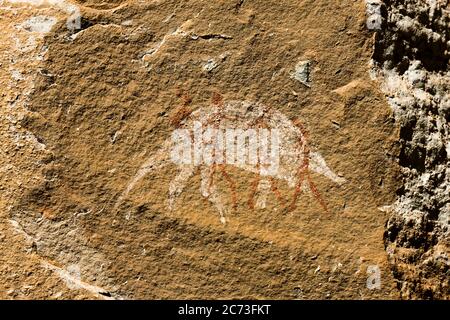 Drakensberg, site d'art rupestre « Battle Cave », peintures rupestres de Bush, réserve de jeux de Giants Castle, Uthukela, KwaZulu-Natal, Afrique du Sud, Afrique Banque D'Images