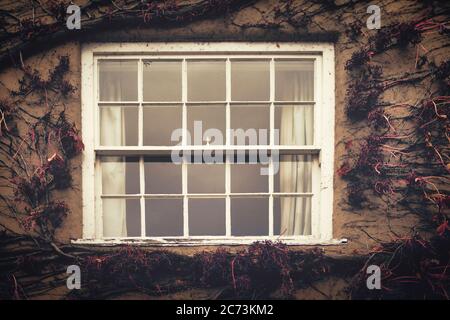 Façade de maison avec porte en bois bleue recouverte de baies sauvages et de vignes rouges. Banque D'Images