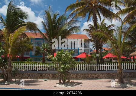 Palmiers à la plage sur l'île de San Andres en Colombie Banque D'Images