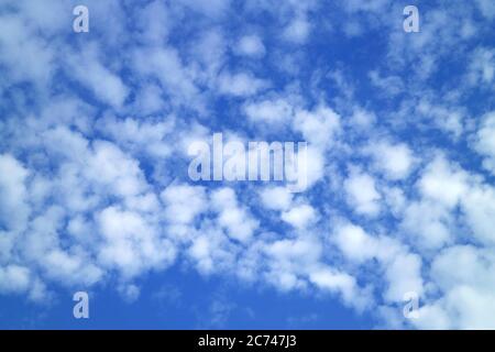 Altocumulus blanc nuages dispersés sur le ciel bleu vif Banque D'Images