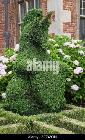 Une licorne topiaire et un bouclier tronqués au Doddington Hall Banque D'Images