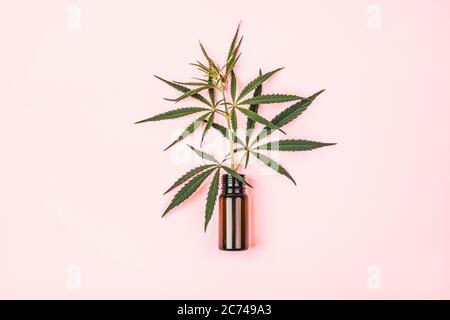 Une branche de cannabis laisse ses bidons d'huile. Production d'huile de chanvre à usage cosmétique et médical. Banque D'Images