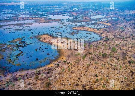 Vue aérienne, Okavango Delta, Botswana, Africa Banque D'Images