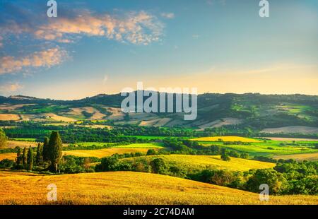 Champ de blé et tournesol en fleurs au coucher du soleil, paysage d'été en Toscane, Italie Banque D'Images