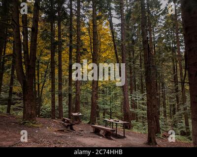 Deux tables en bois rustique faites à la main avec bancs en bois dans une aire de pique-nique dans une forêt sauvage dans les montagnes Carpates en Ukraine. Sombre sombre sombre sombre sombre sombre humeur mystérieuse. Banque D'Images