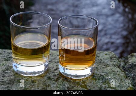 Single Malt Scotch whisky ou de spiritueux dans des verres à l'eau de la rivière Spey sur arrière-plan, Ecosse, Royaume-Uni Banque D'Images