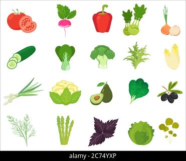 Les légumes frais et les herbes colorent des icônes plates isolées Illustration de Vecteur