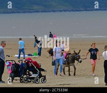 Weston Super Mare., Royaume-Uni. 14 juillet 2020. Weston Donkies de retour en action sur la plage à Weston Super Mare dans Somerset.image crédit: Robert Timoney/Alamy Live News Banque D'Images