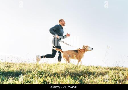 L'homme court avec son chien beagle. Image du concept d'exercice de Canicross du matin Banque D'Images