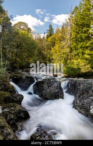 Les chutes de Pont y-pair le long de la rivière Llugwy à Betws-y-Coed, dans le parc national de Snowdonia, au pays de Galles, au Royaume-Uni Banque D'Images