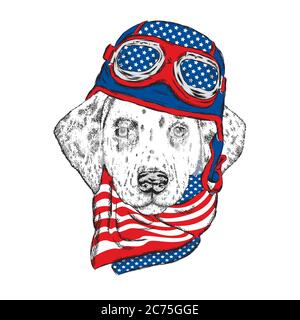 Un beau chien dans un casque et une écharpe. Un chiot pédigrée dans les vêtements d'un pilote ou d'un pilote. Illustration vectorielle pour une carte postale ou une affiche, pr Illustration de Vecteur