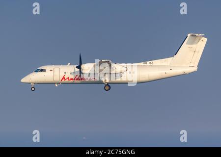 Masculin, Maldives - 19 février 2018 : avion Maldiviens Bombardier DHC-8-300 à l'aéroport de Malé (MLE) aux Maldives. Banque D'Images