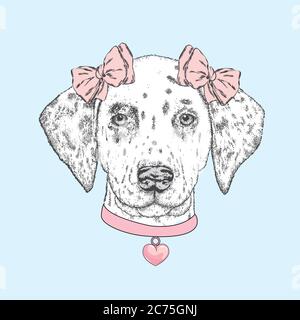 Un beau taureau de fosse. Illustration vectorielle pour une carte postale ou une affiche, imprimé sur des vêtements, une couverture ou un sac. Bulldog. Chiot de race pure. Chien. Illustration de Vecteur