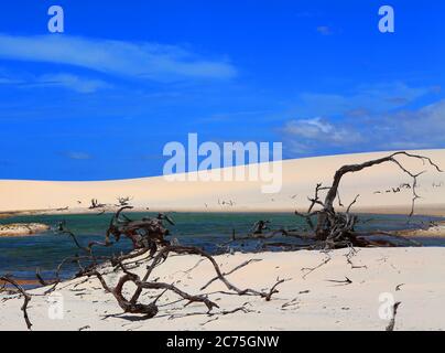 Parc national de Lencois Maranhenses à Maranhao, Brésil Banque D'Images