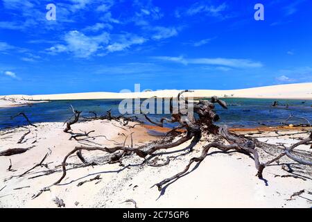 Parc national de Lencois Maranhenses à Maranhao, Brésil Banque D'Images