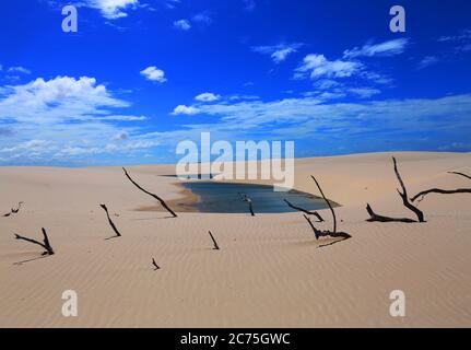 Parc national de Lencois Maranhenses à Maranhao, Brésil Banque D'Images