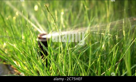 Arrosage des herbes en gros plan. Jardin intelligent activé avec système d'arrosage automatique fonctionnant dans un parc vert, arrosage de pelouse, fleurs Banque D'Images