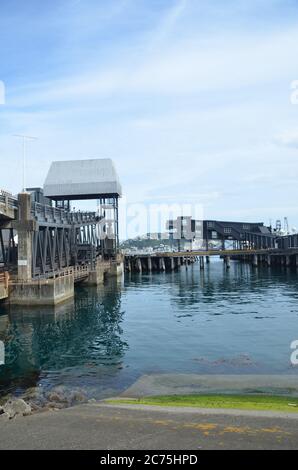 Le port de Wellington est le grand port naturel situé à l'extrémité sud de l'île du Nord de la Nouvelle-Zélande. Capitale de la Nouvelle-Zélande, Banque D'Images