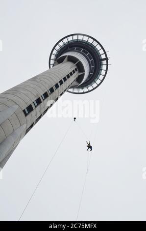 Homme faisant SkyJump de la Tour d'Auckland. Banque D'Images